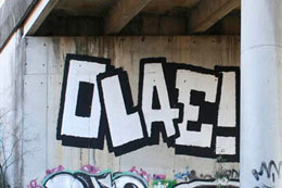 OLAE: GASPAR SHUTTER