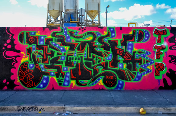 art_basel-miami_mtn_graffiti_rhed_tfp