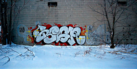 begr_fire_at_will_mtn_graffiti_24