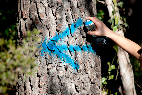 mtn_chalk_TRAIL-MARKING