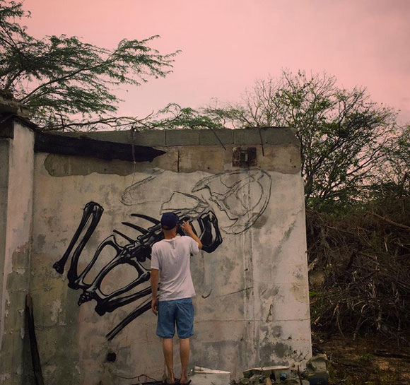 roa_puertorico_mtn_8