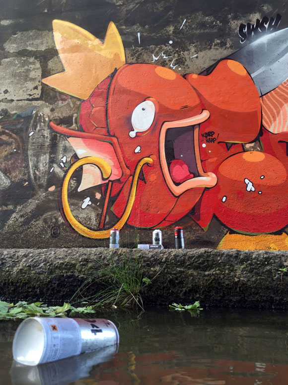 defy_pokemon_magikarp_graffiti_mtn_