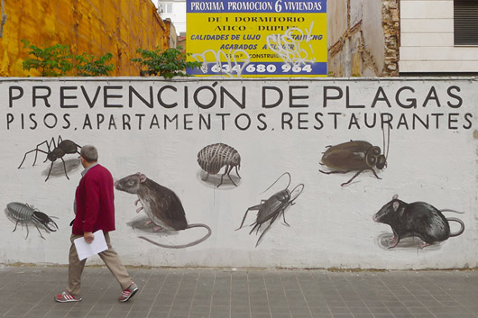 ESCIF ARREMETE CONTRA LOS TURISTAS